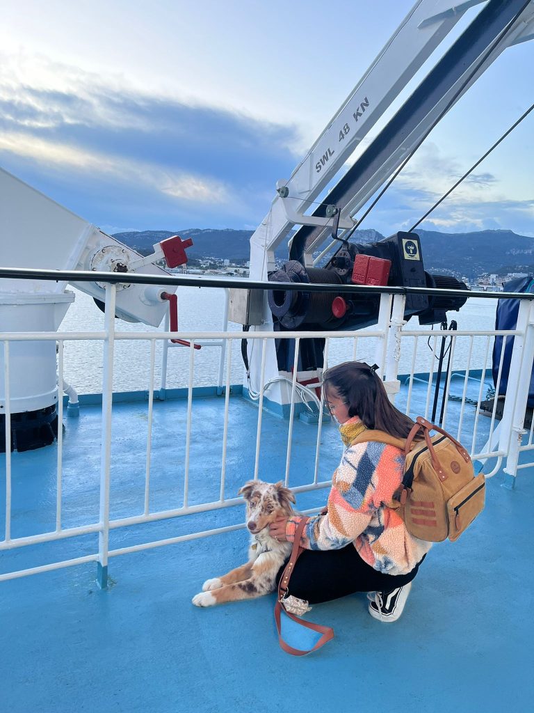 corse chien bateau1