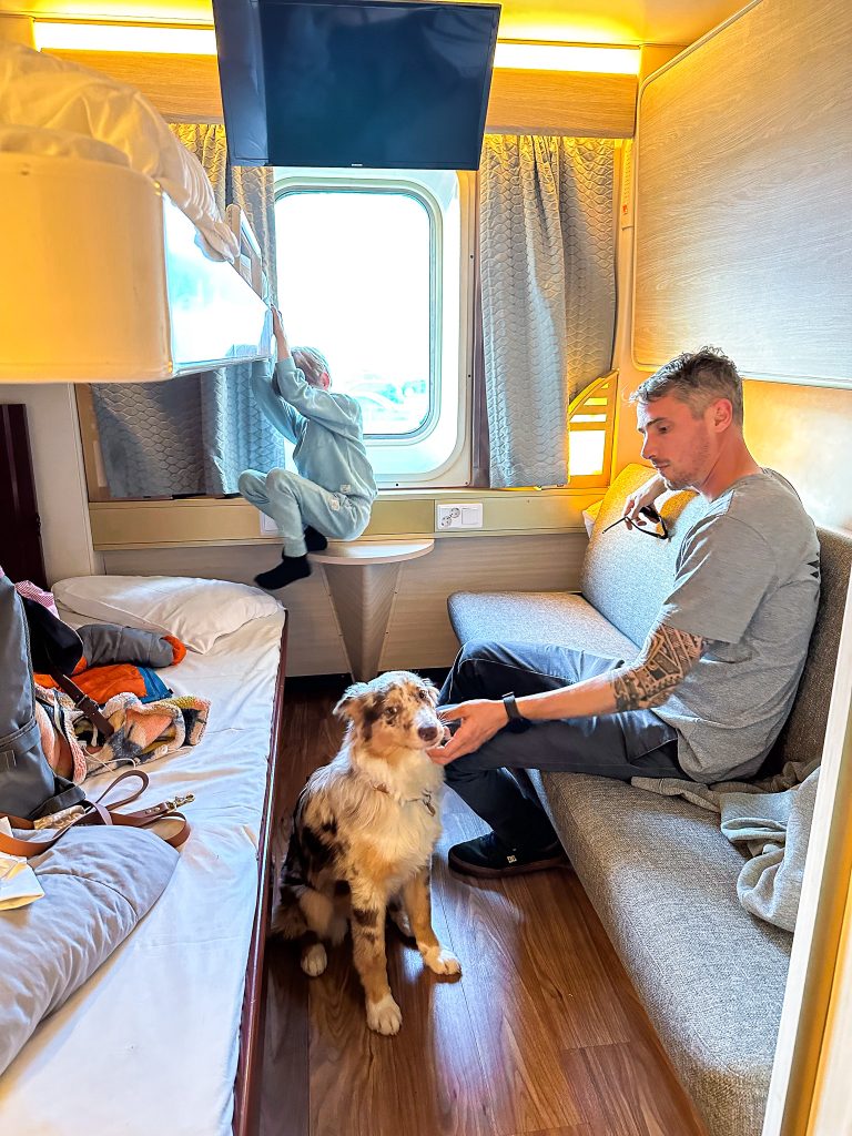 corse chien bateau5