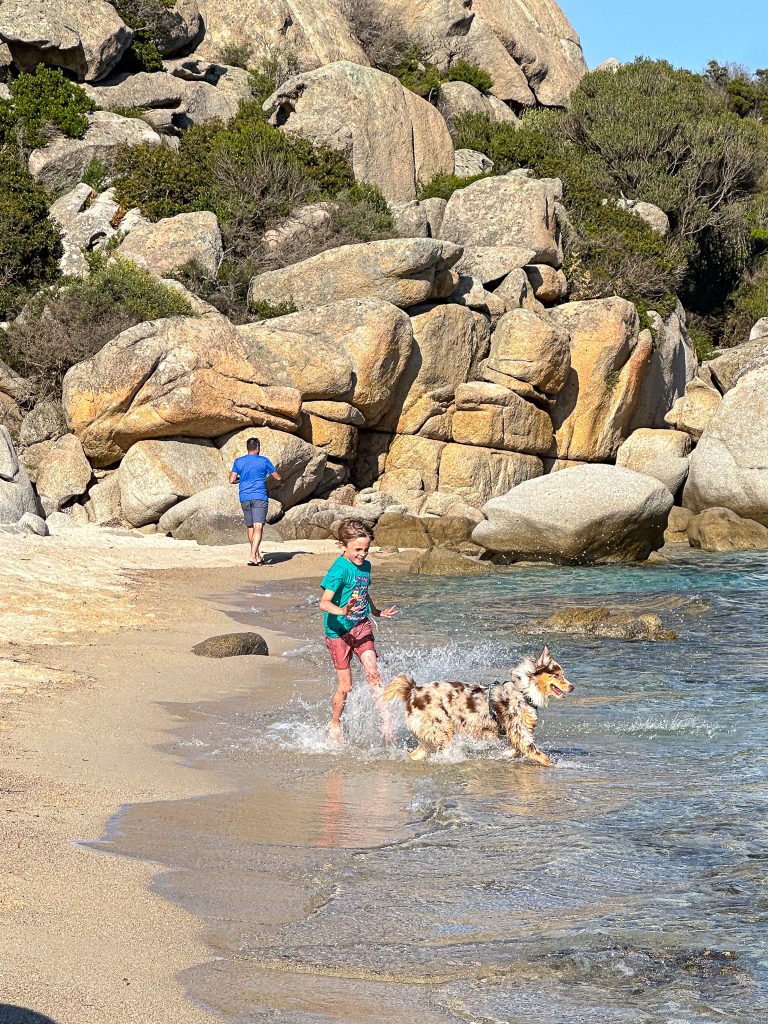 corse chien bateau8