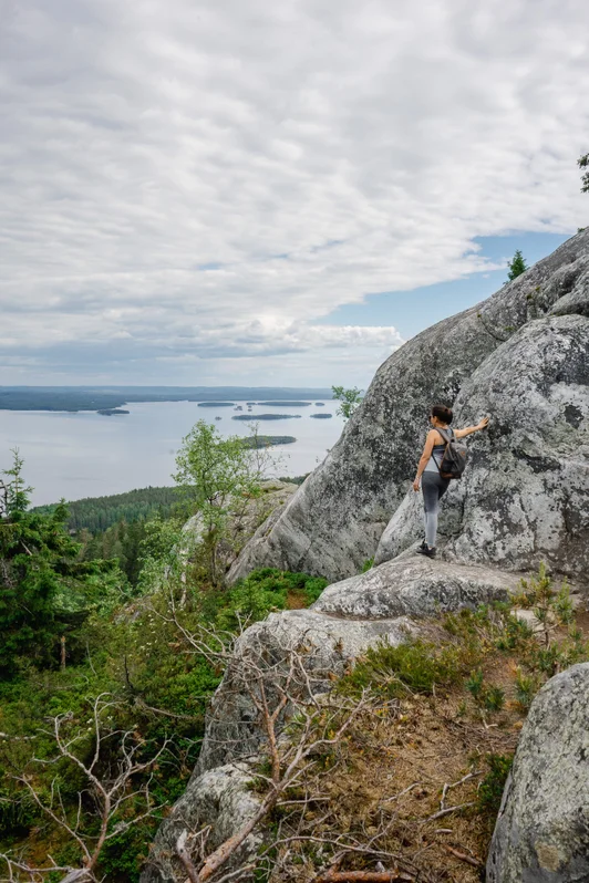 finlande koli national park1