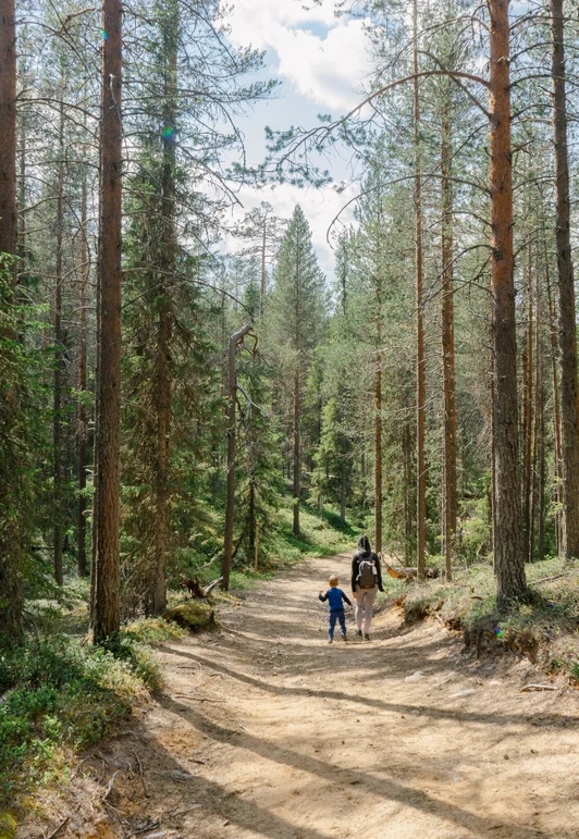 finlande korouoma canyon3