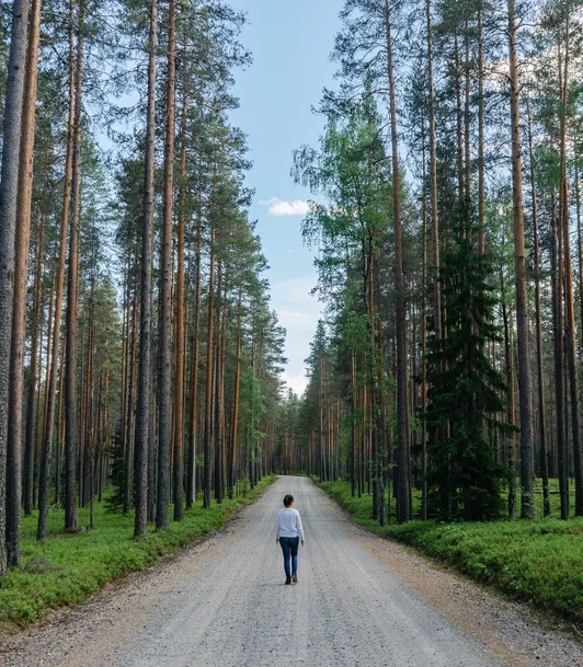 finlande punkaharju3