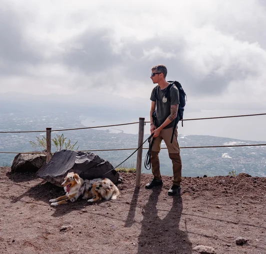 Avec Chien Ascension Vesuve