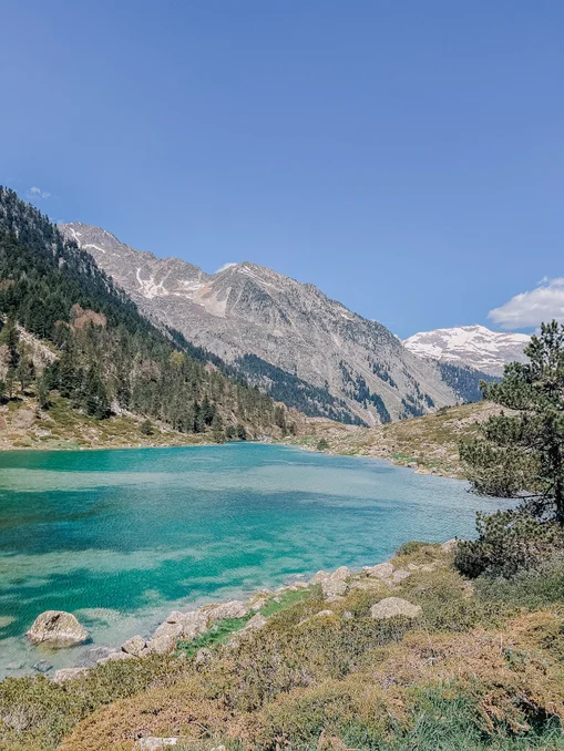 lac suyen high