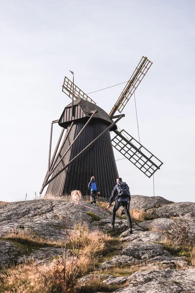 moulin bois suede high