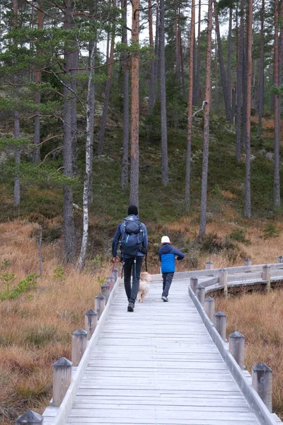 randonnee tresticklan national park high