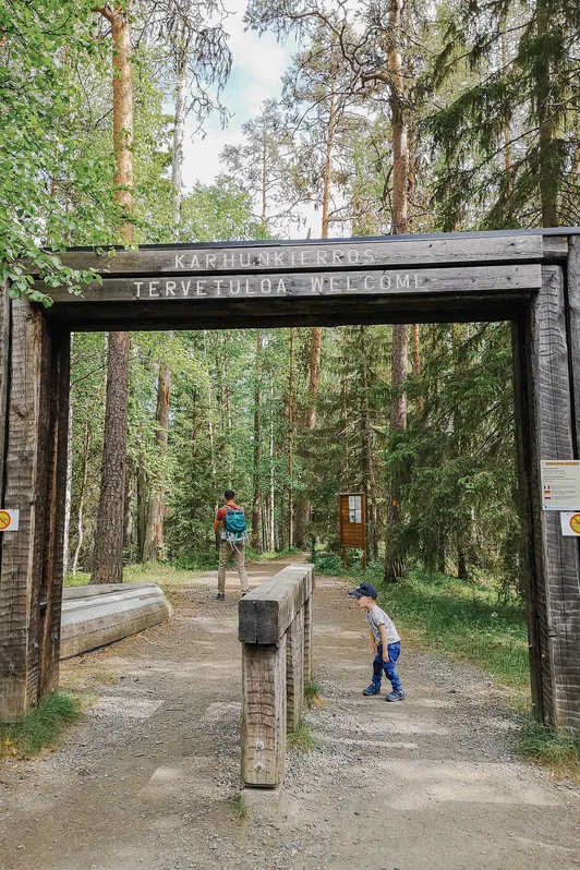 sentier ours oulanka