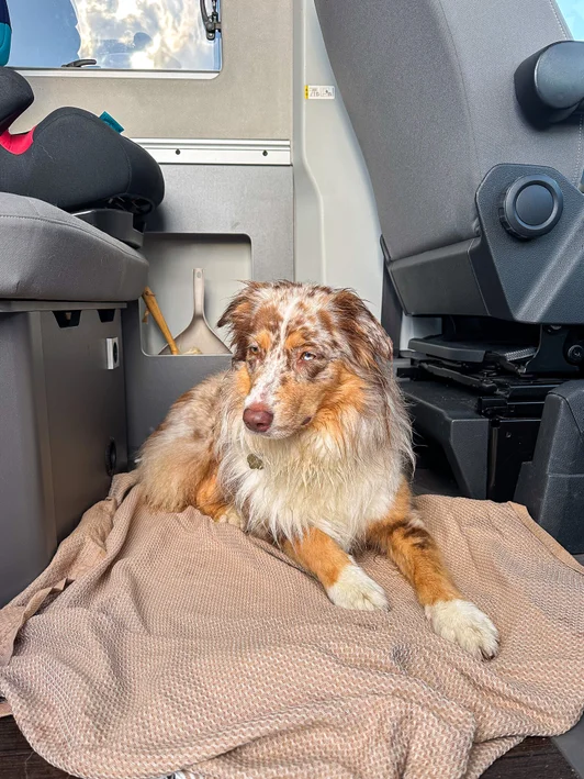 suede vanlife famille6